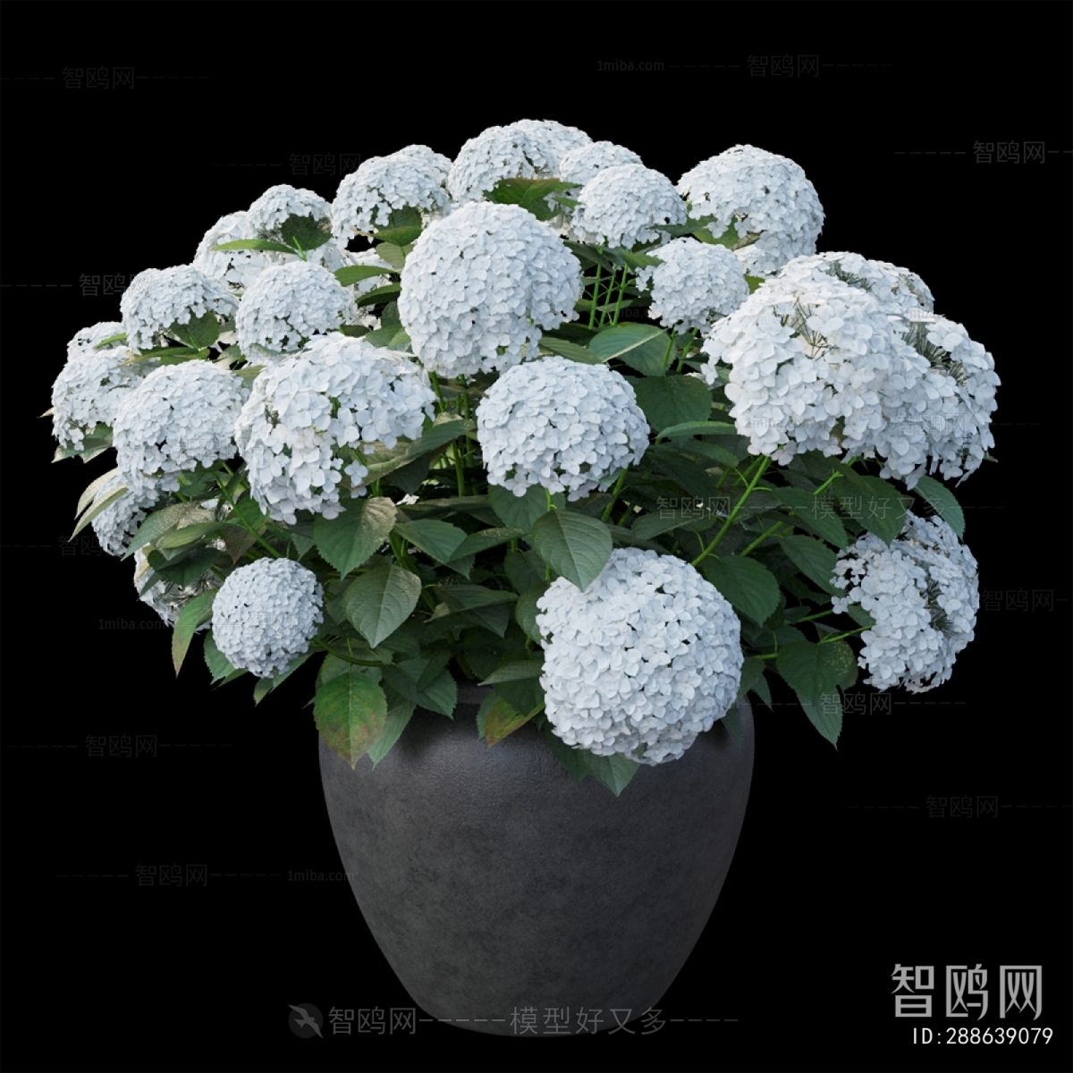 Modern Flower Arrangement