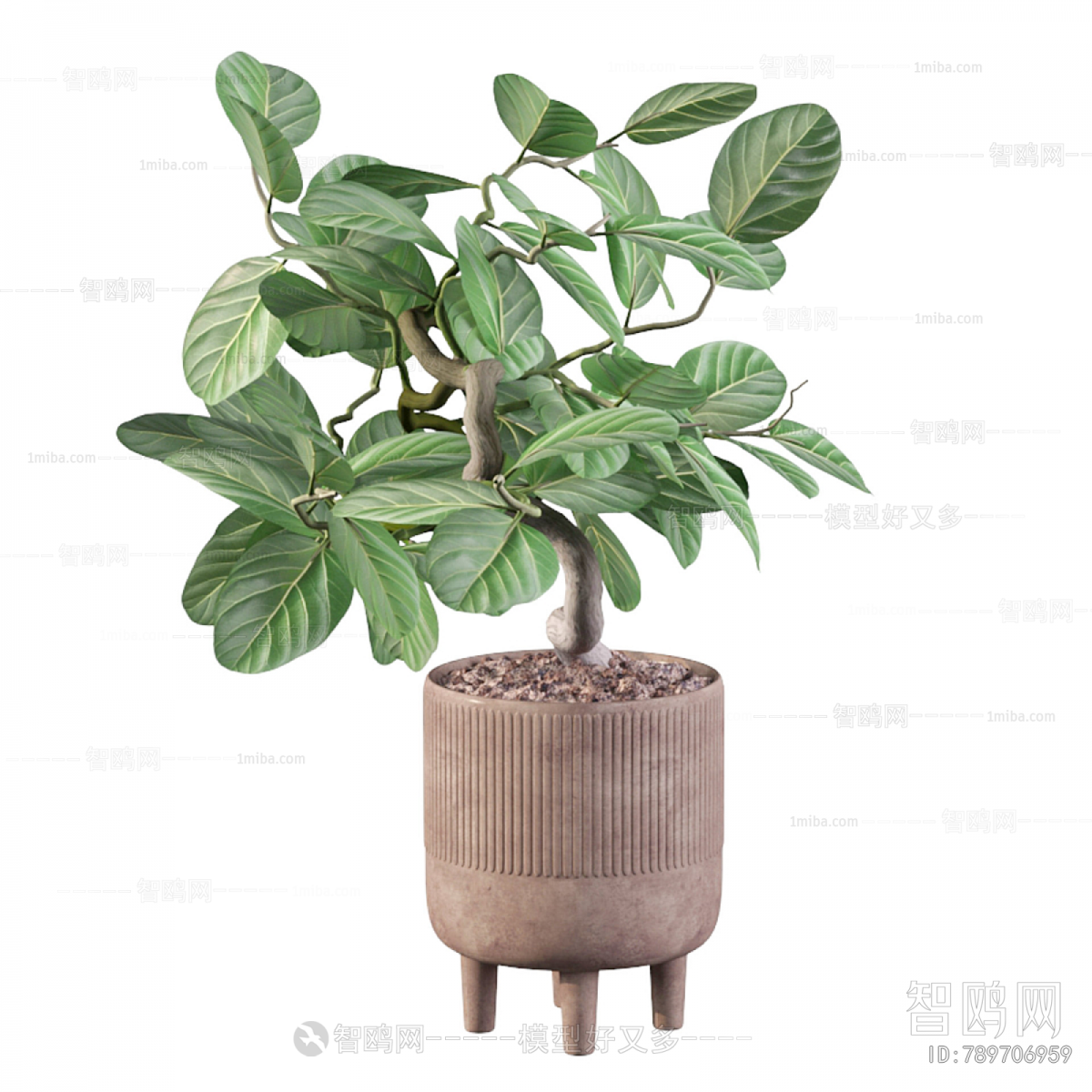 Modern Ground Green Plant Potted Plants