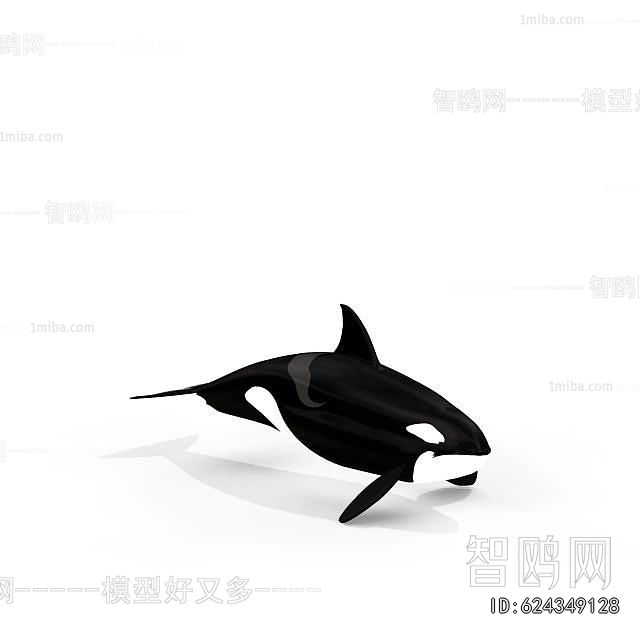 Modern Aquatic Animals