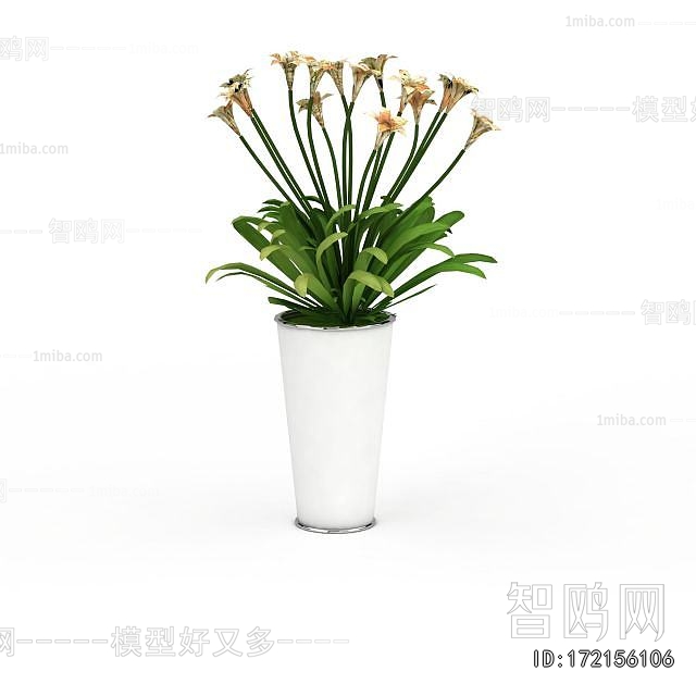 Modern Potted Green Plant