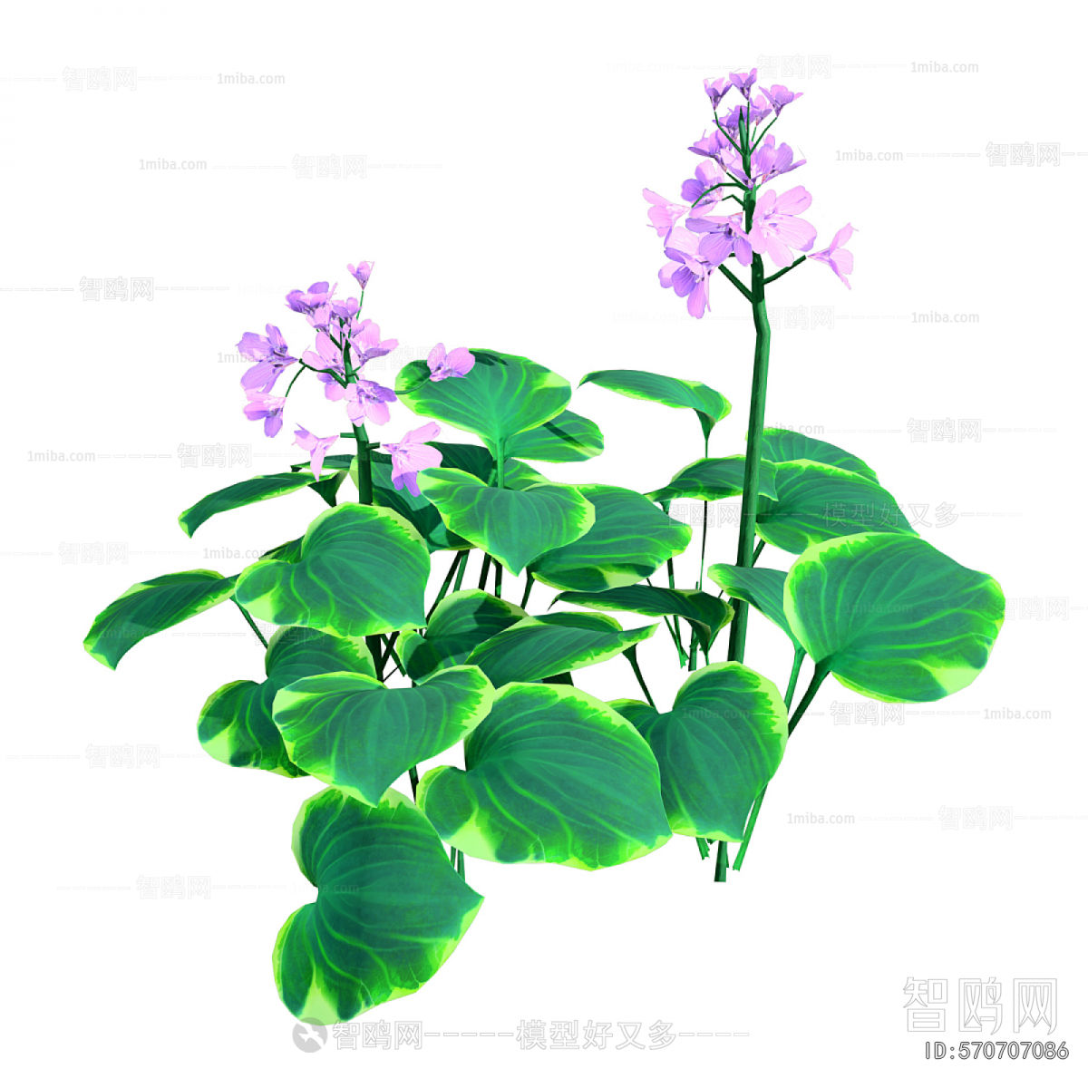 Modern Flowers And Grass