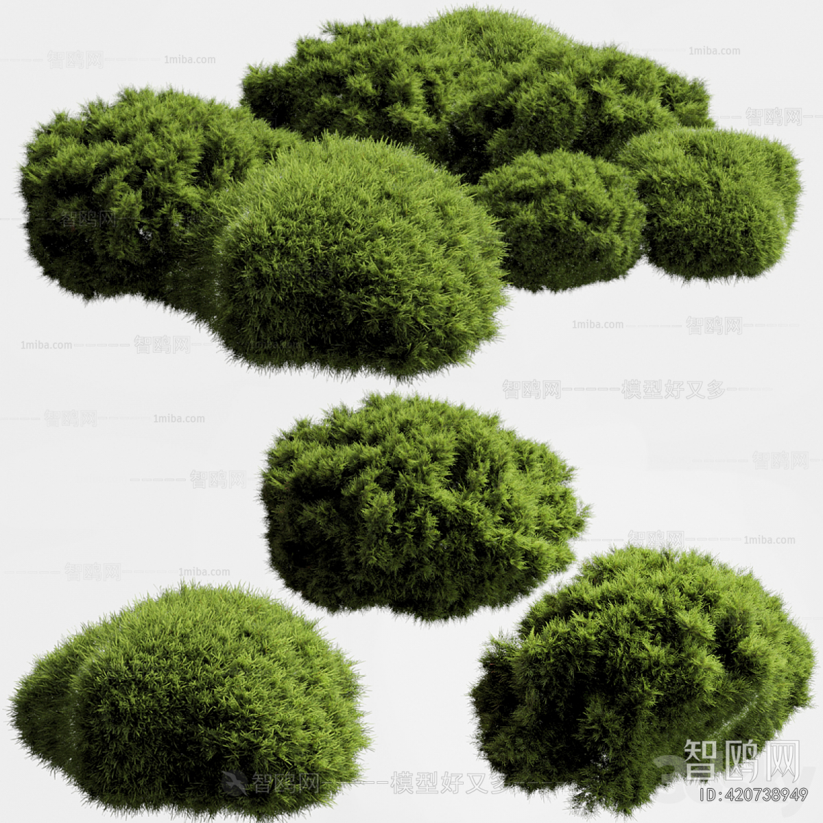 Modern Shrubbery
