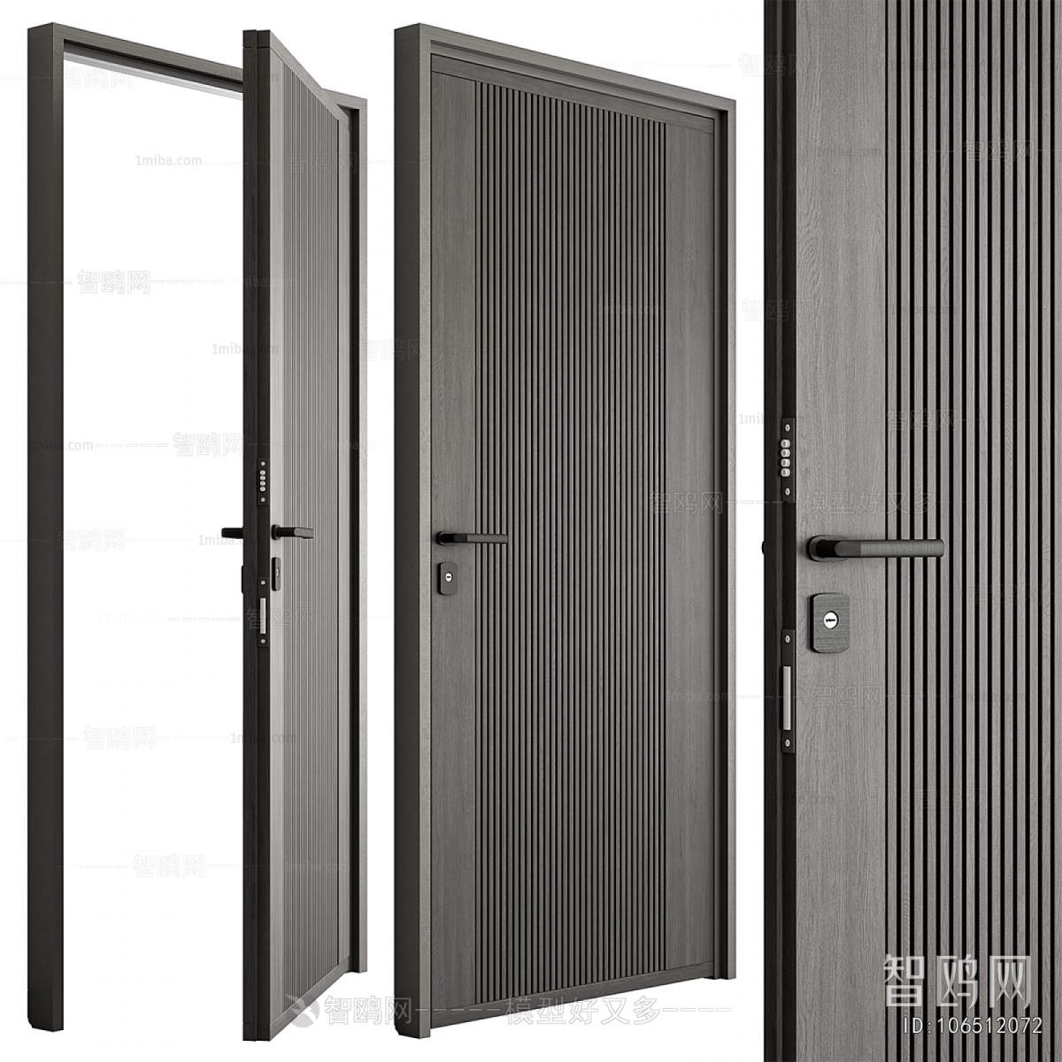 Modern Entrance Door