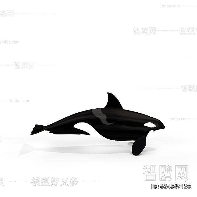 Modern Aquatic Animals