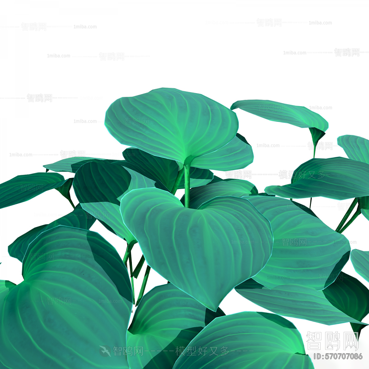 Modern Flowers And Grass