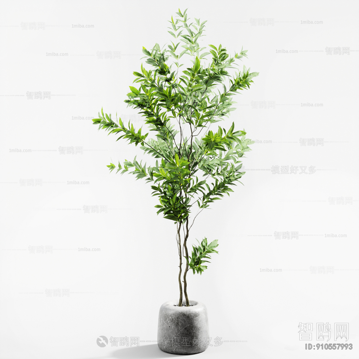 Modern Ground Green Plant Potted Plants