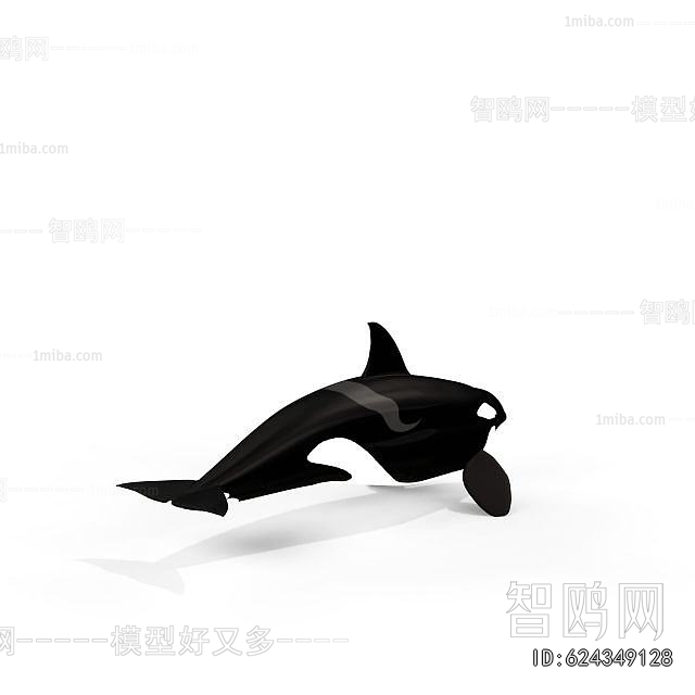 Modern Aquatic Animals