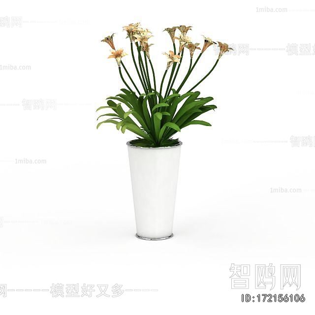 Modern Potted Green Plant