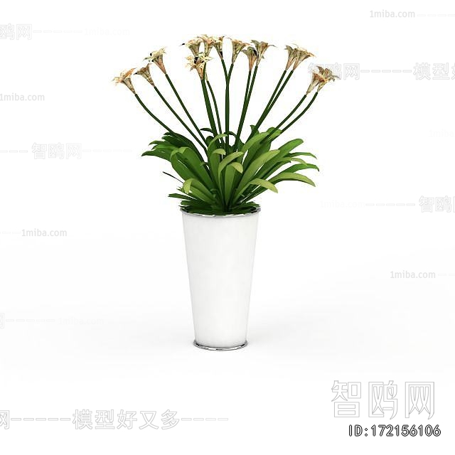 Modern Potted Green Plant