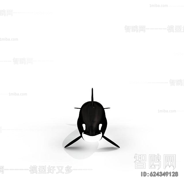 Modern Aquatic Animals