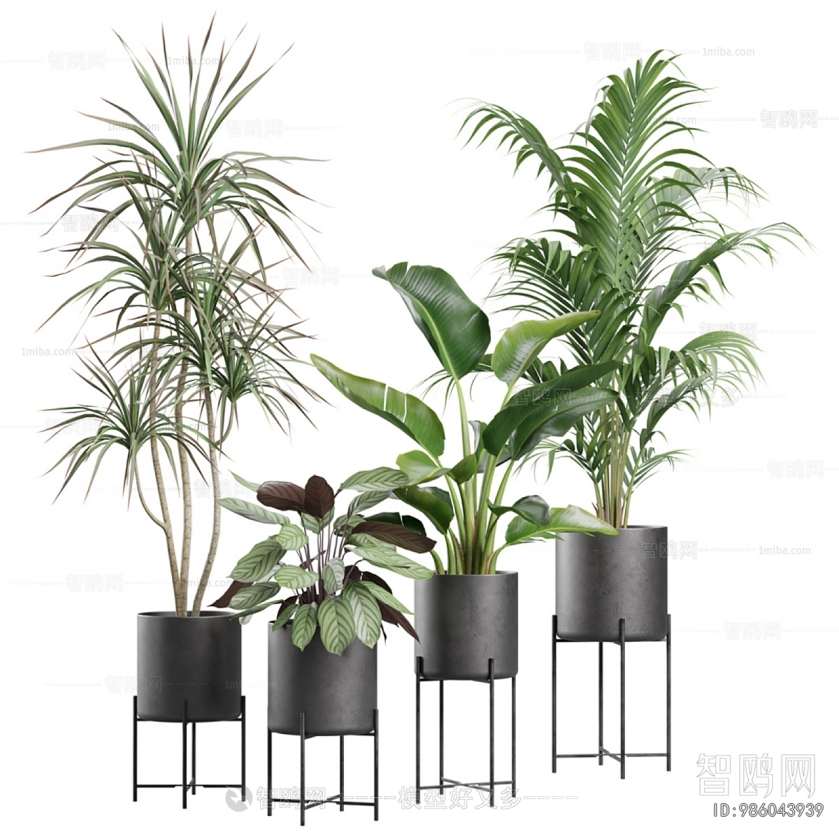 Modern Ground Green Plant Potted Plants