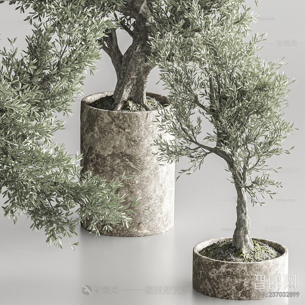 Modern Ground Green Plant Potted Plants