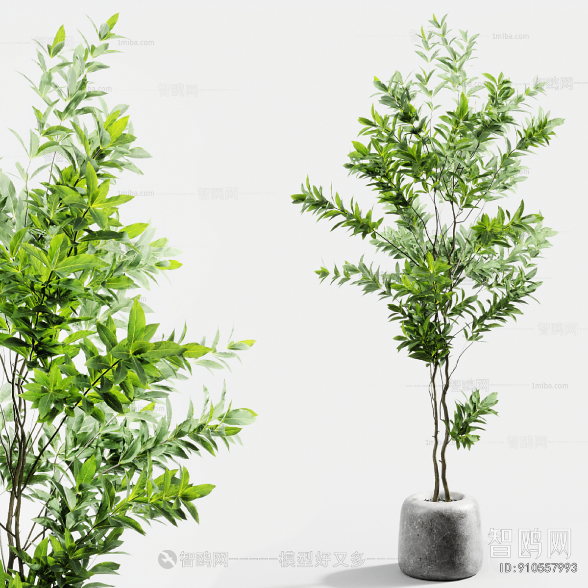 Modern Ground Green Plant Potted Plants