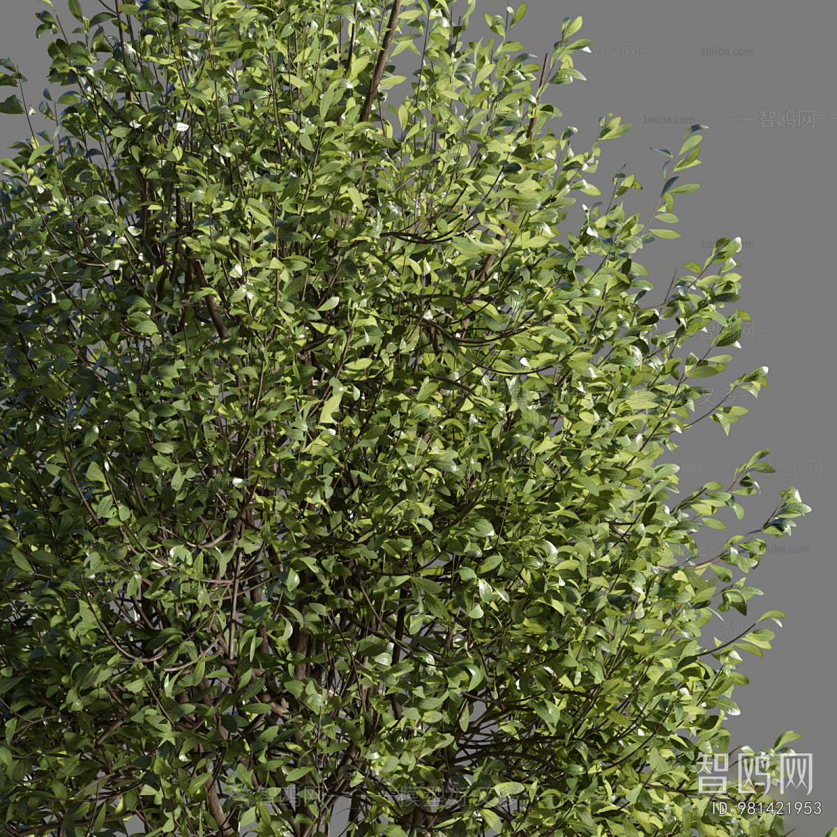 Modern Communal Chair