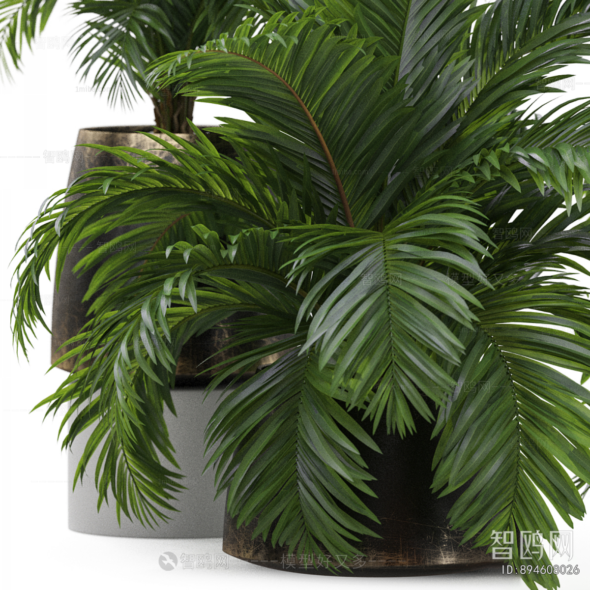Modern Ground Green Plant Potted Plants