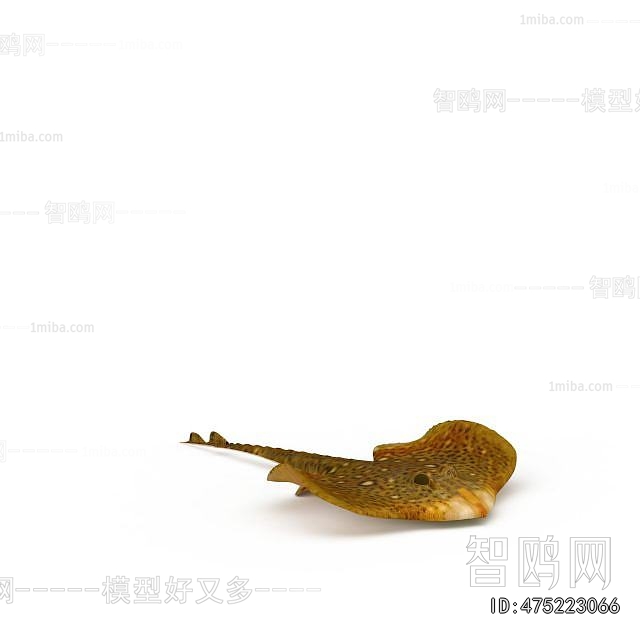 Modern Aquatic Animals