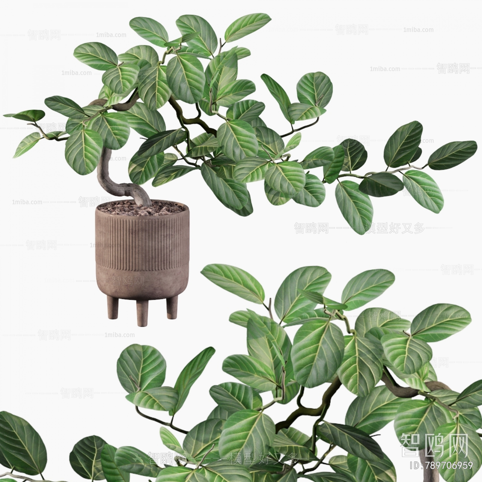 Modern Ground Green Plant Potted Plants