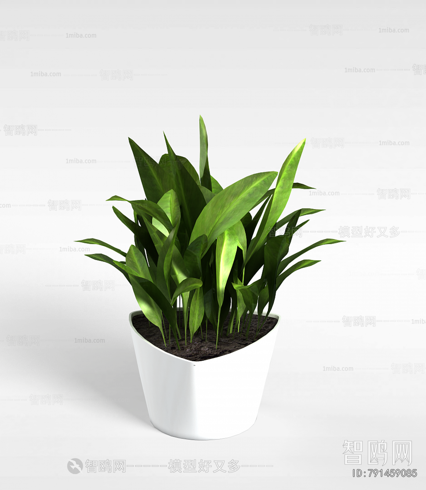 Modern Potted Green Plant