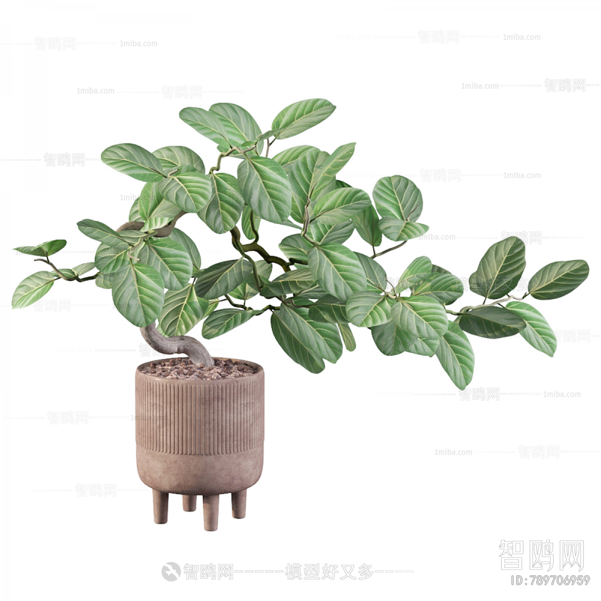 Modern Ground Green Plant Potted Plants