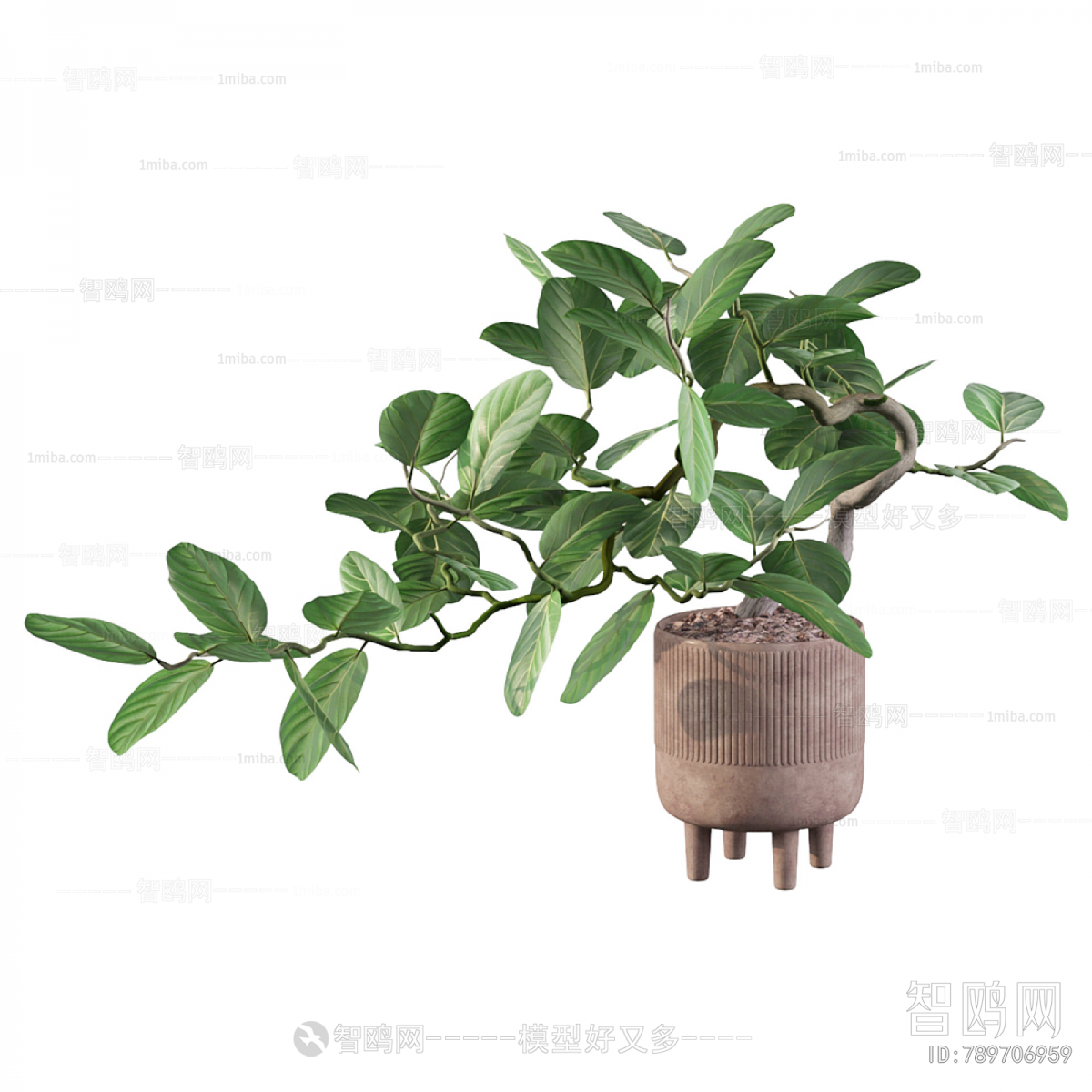 Modern Ground Green Plant Potted Plants