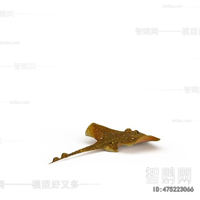 Modern Aquatic Animals