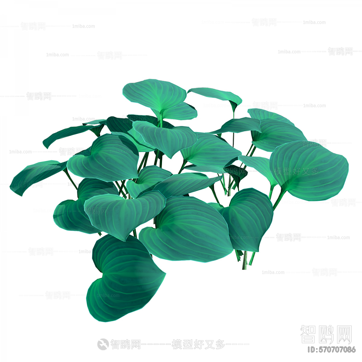 Modern Flowers And Grass