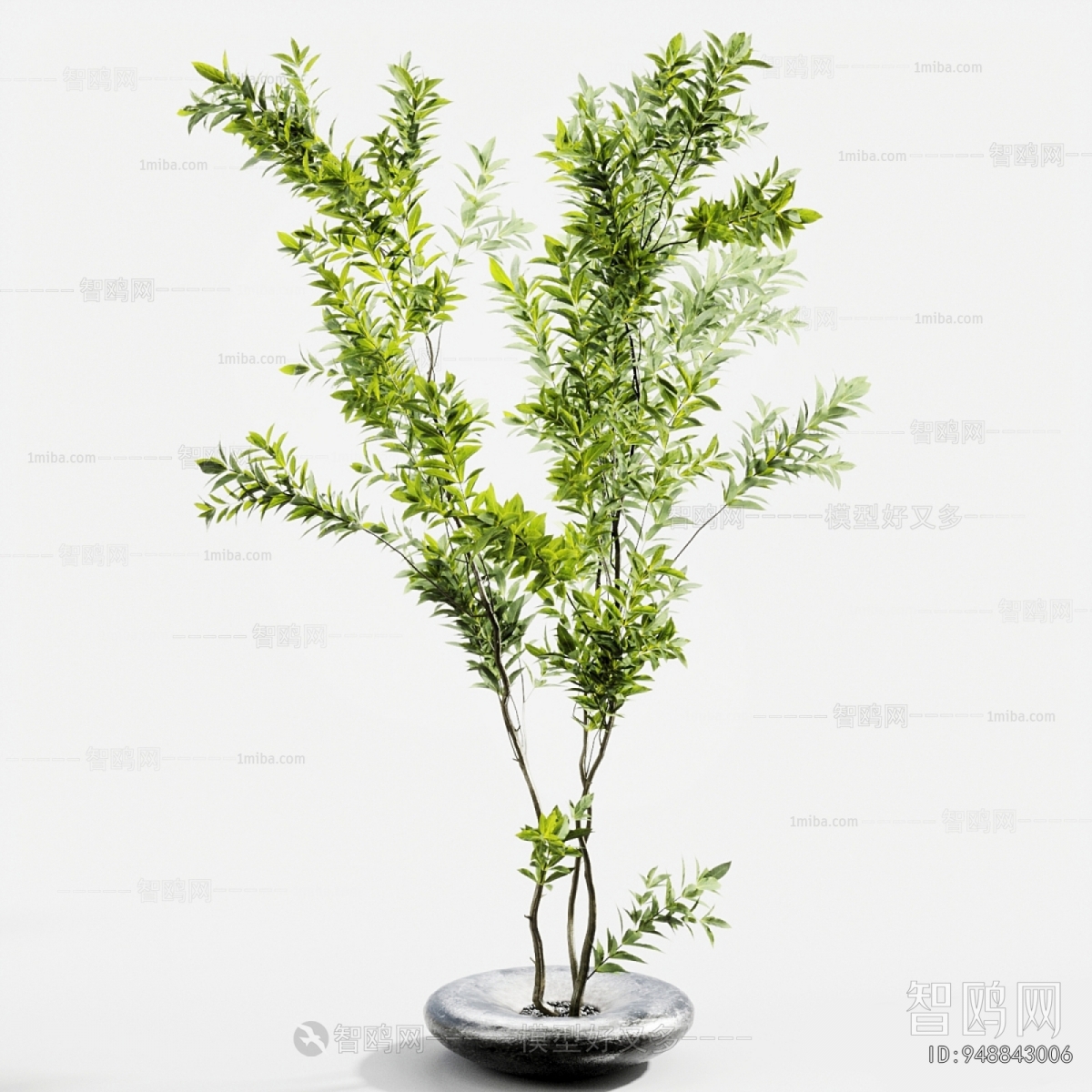 Modern Ground Green Plant Potted Plants