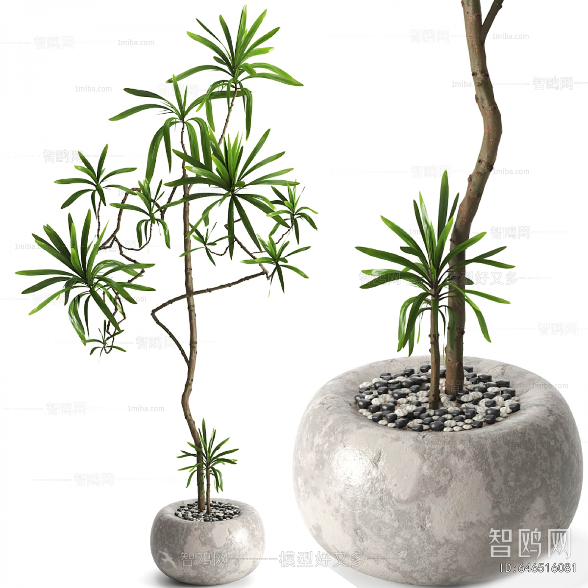 Modern Ground Green Plant Potted Plants