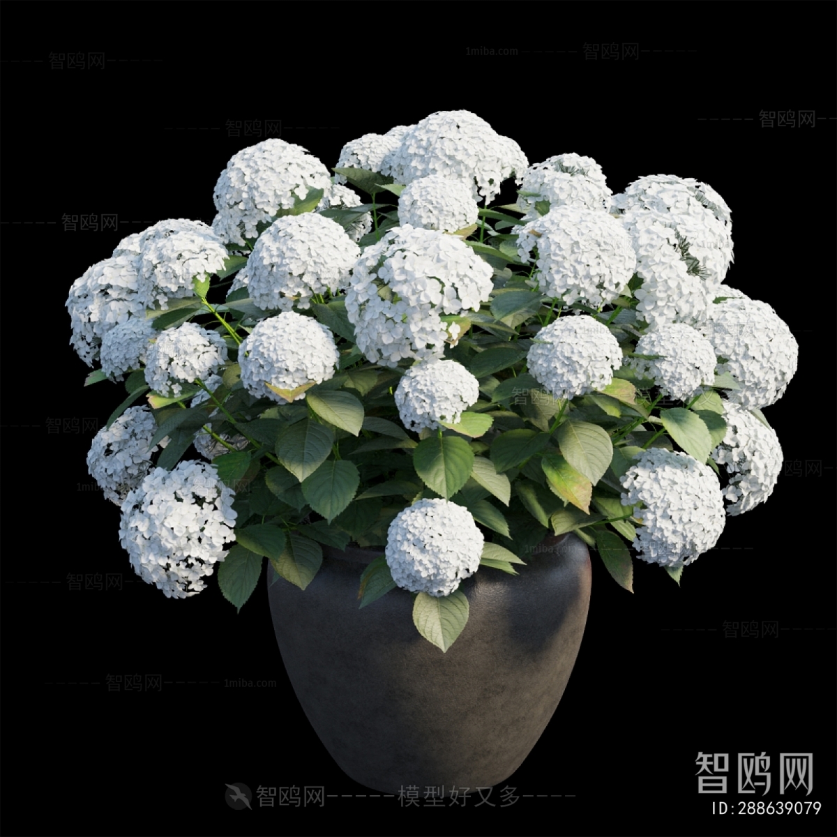 Modern Flower Arrangement