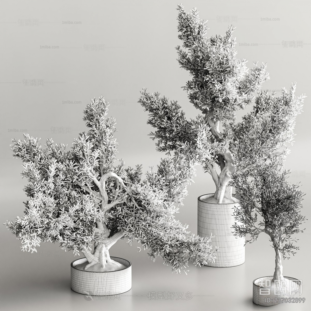 Modern Ground Green Plant Potted Plants