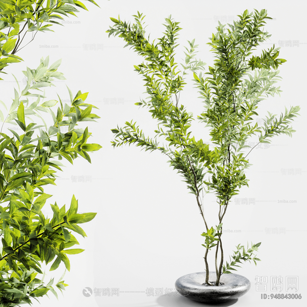 Modern Ground Green Plant Potted Plants
