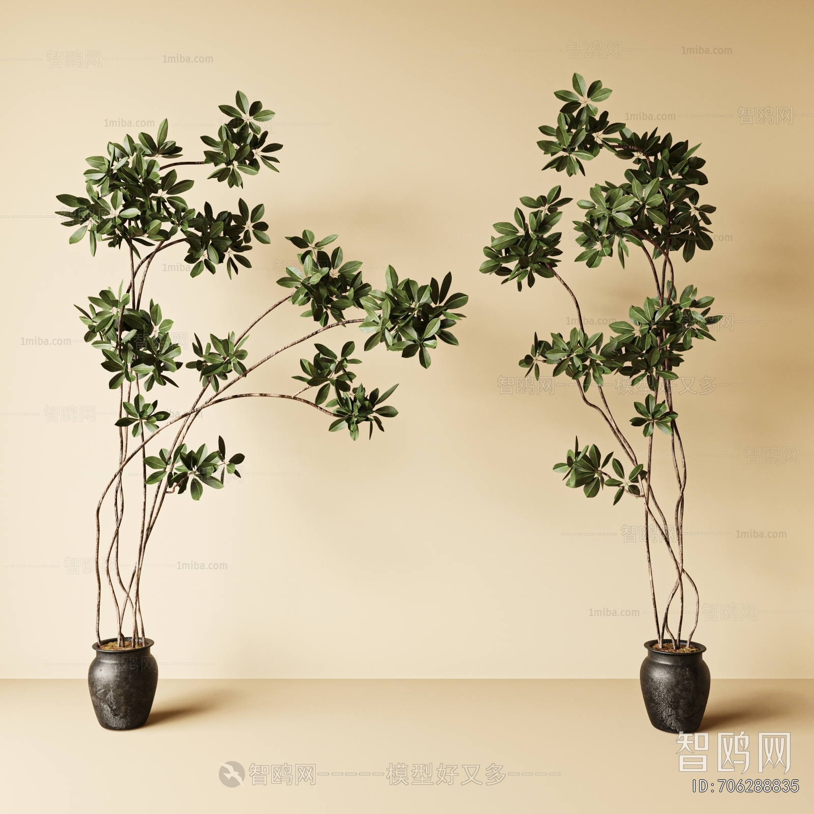 Modern Ground Green Plant Potted Plants