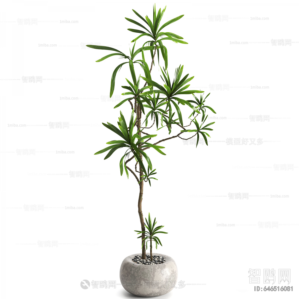Modern Ground Green Plant Potted Plants