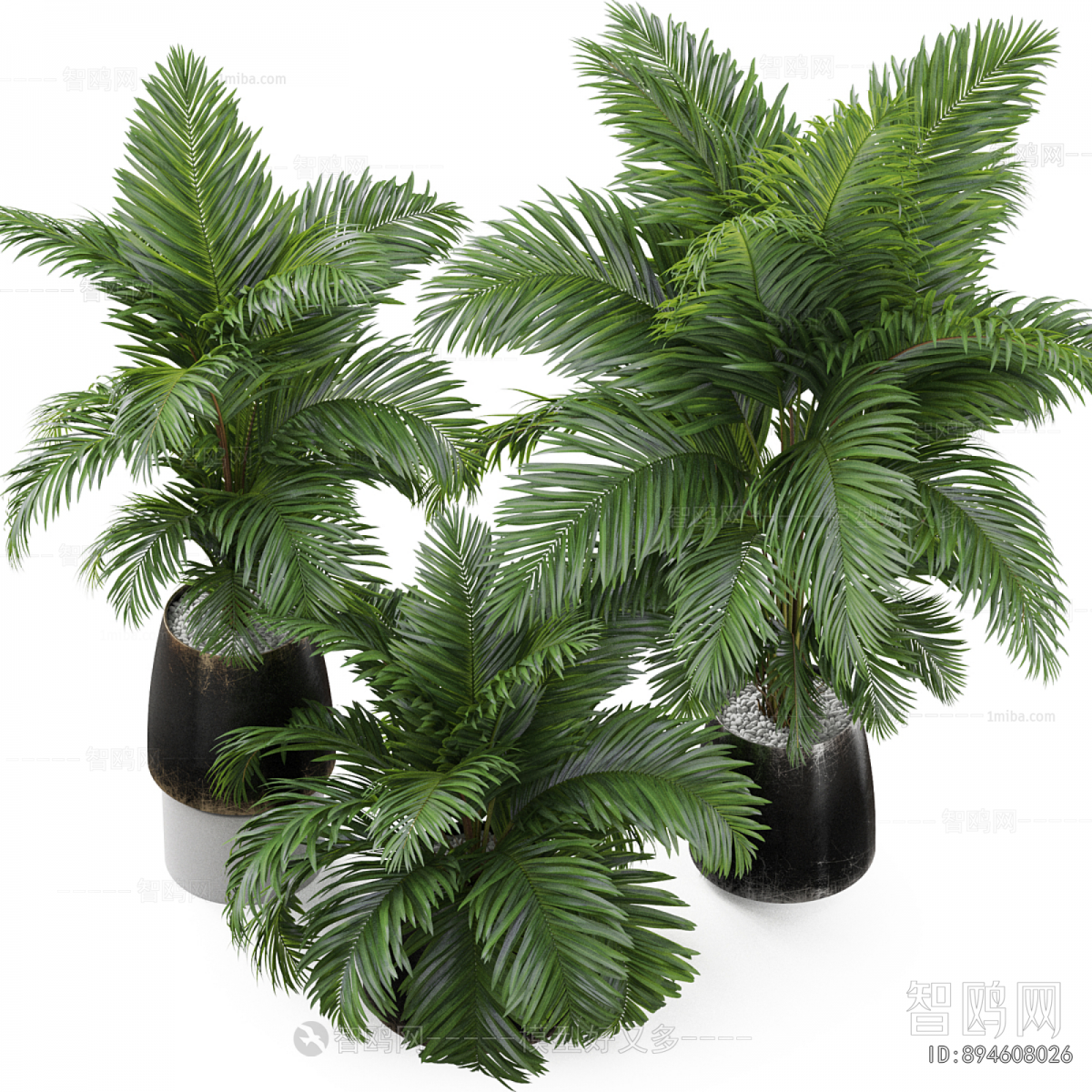Modern Ground Green Plant Potted Plants