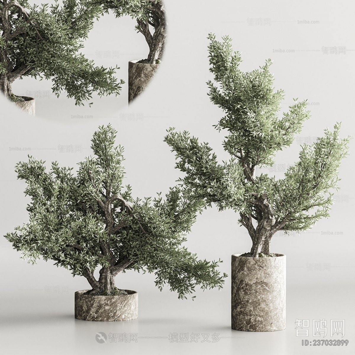 Modern Ground Green Plant Potted Plants