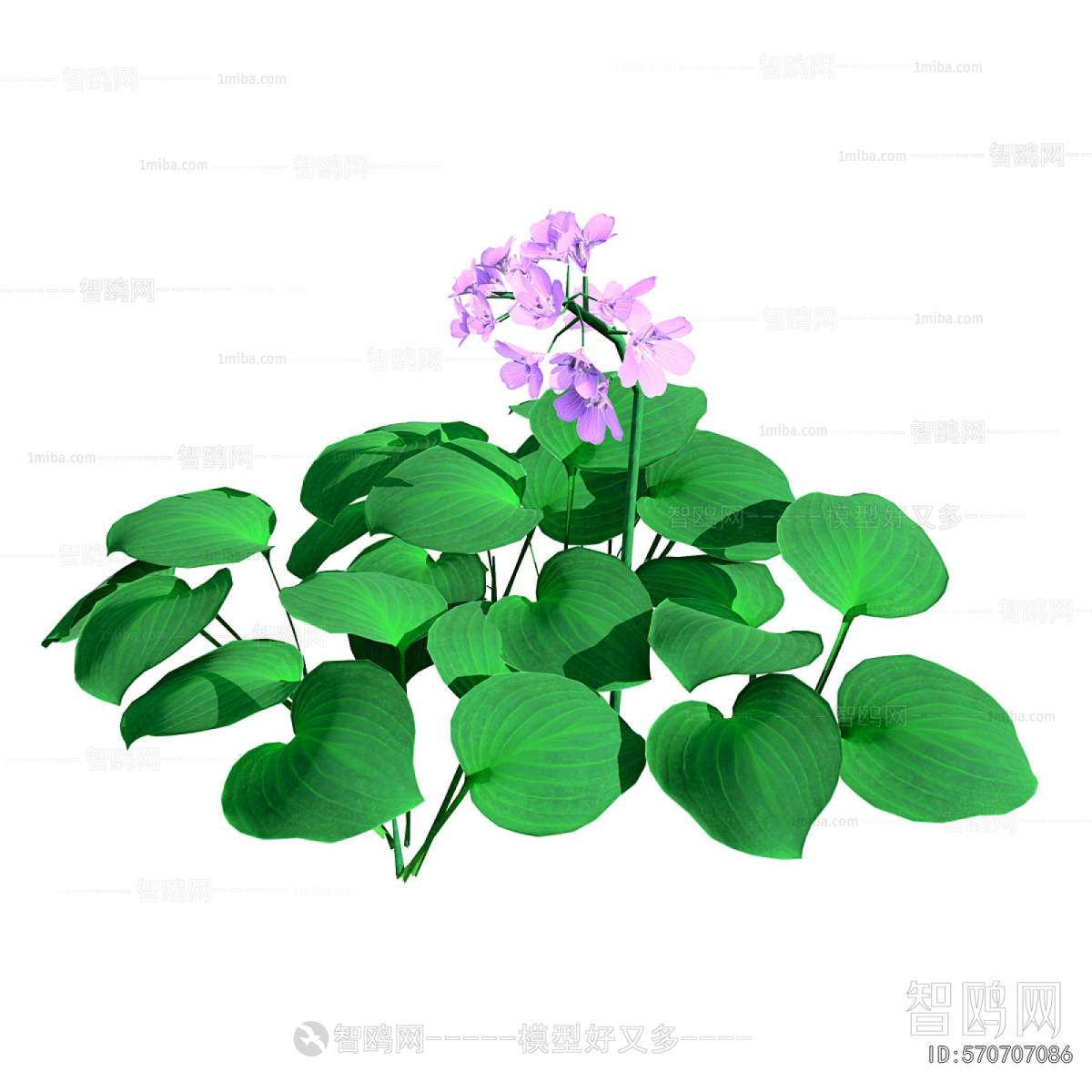 Modern Flowers And Grass