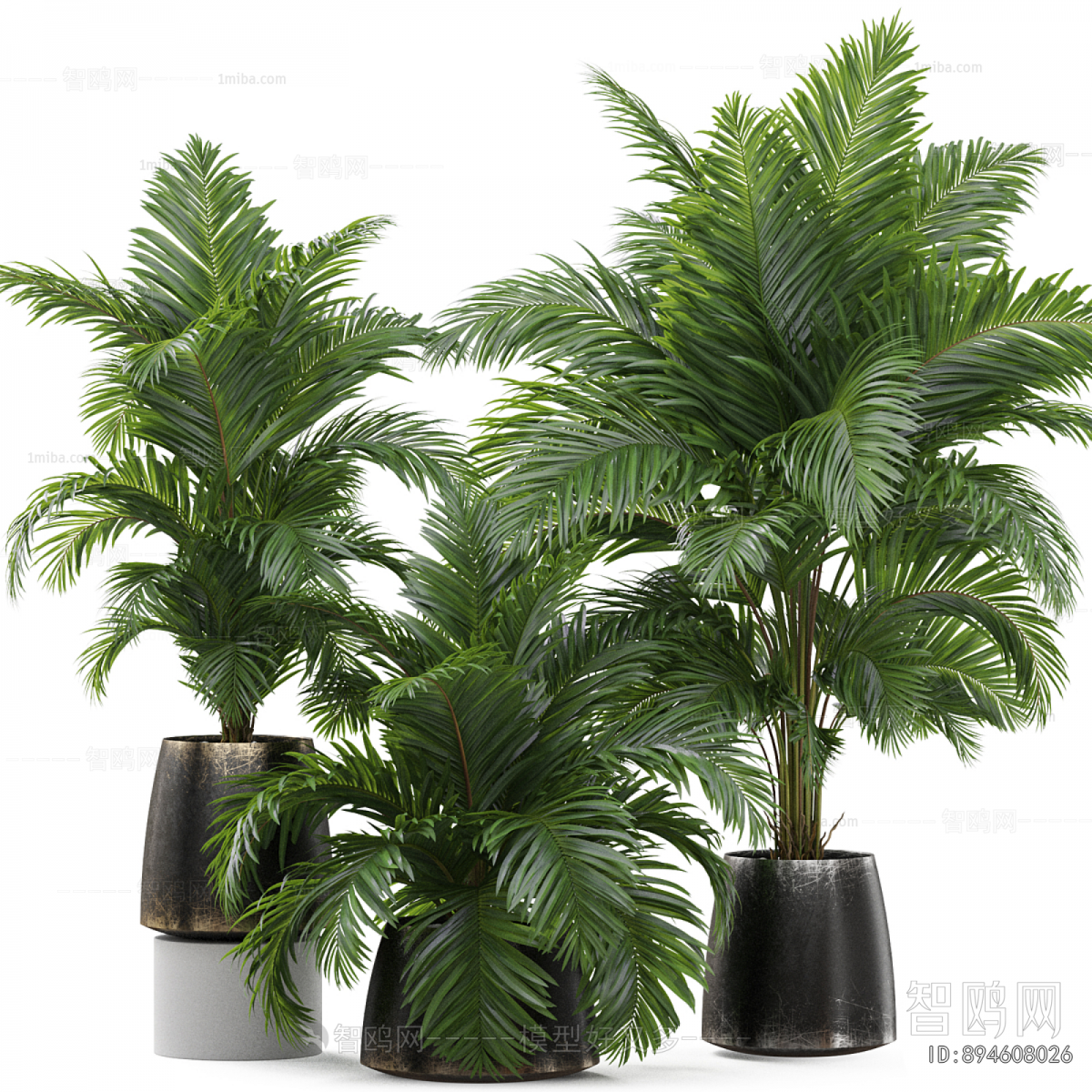 Modern Ground Green Plant Potted Plants