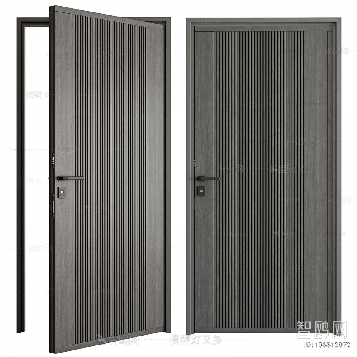 Modern Entrance Door