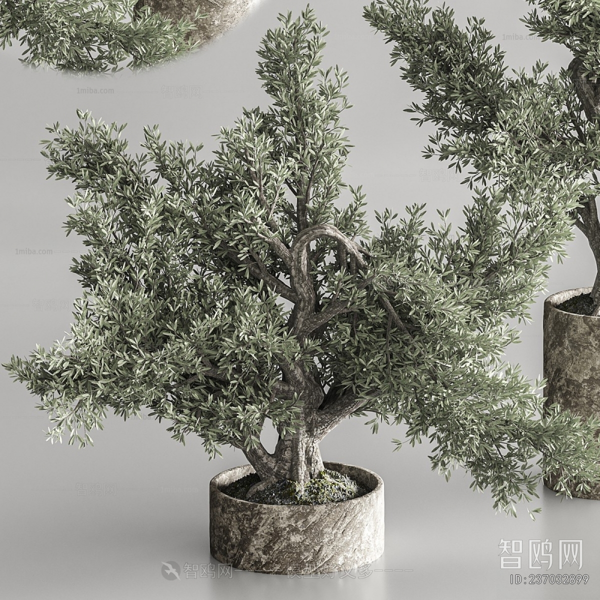 Modern Ground Green Plant Potted Plants