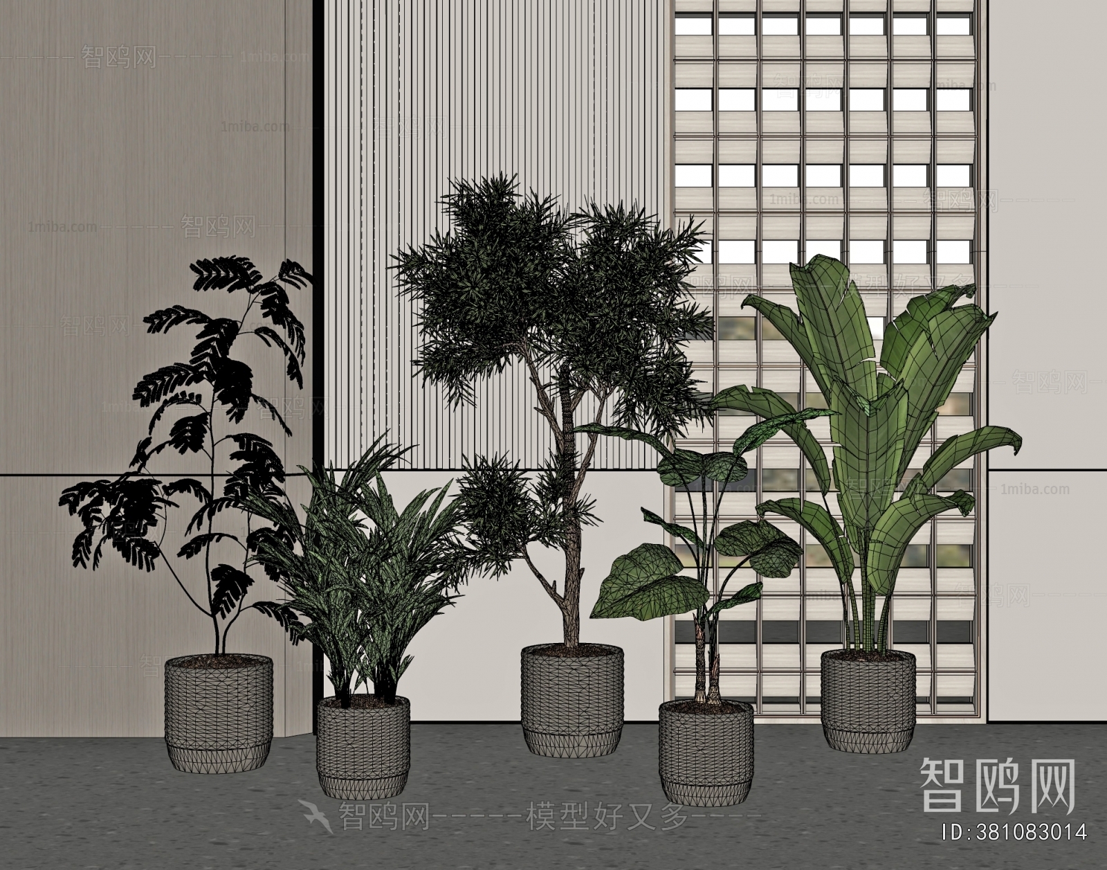 Modern Ground Green Plant Potted Plants