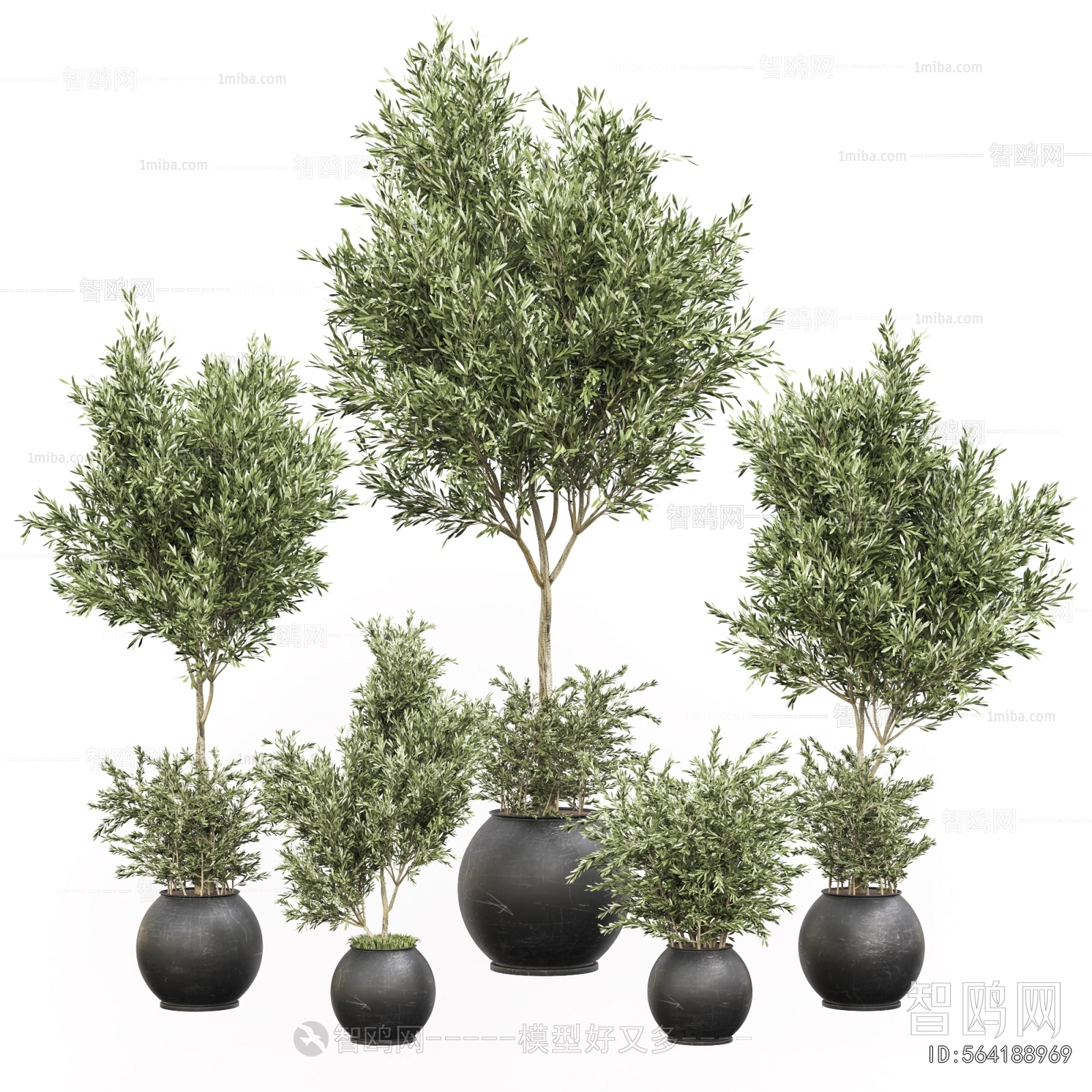 Modern Ground Green Plant Potted Plants