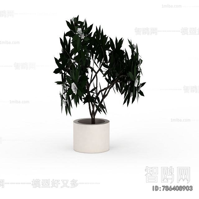 Modern Ground Green Plant Potted Plants