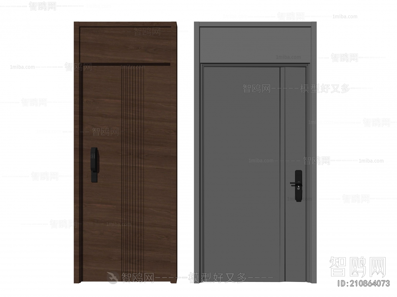 Modern Entrance Door