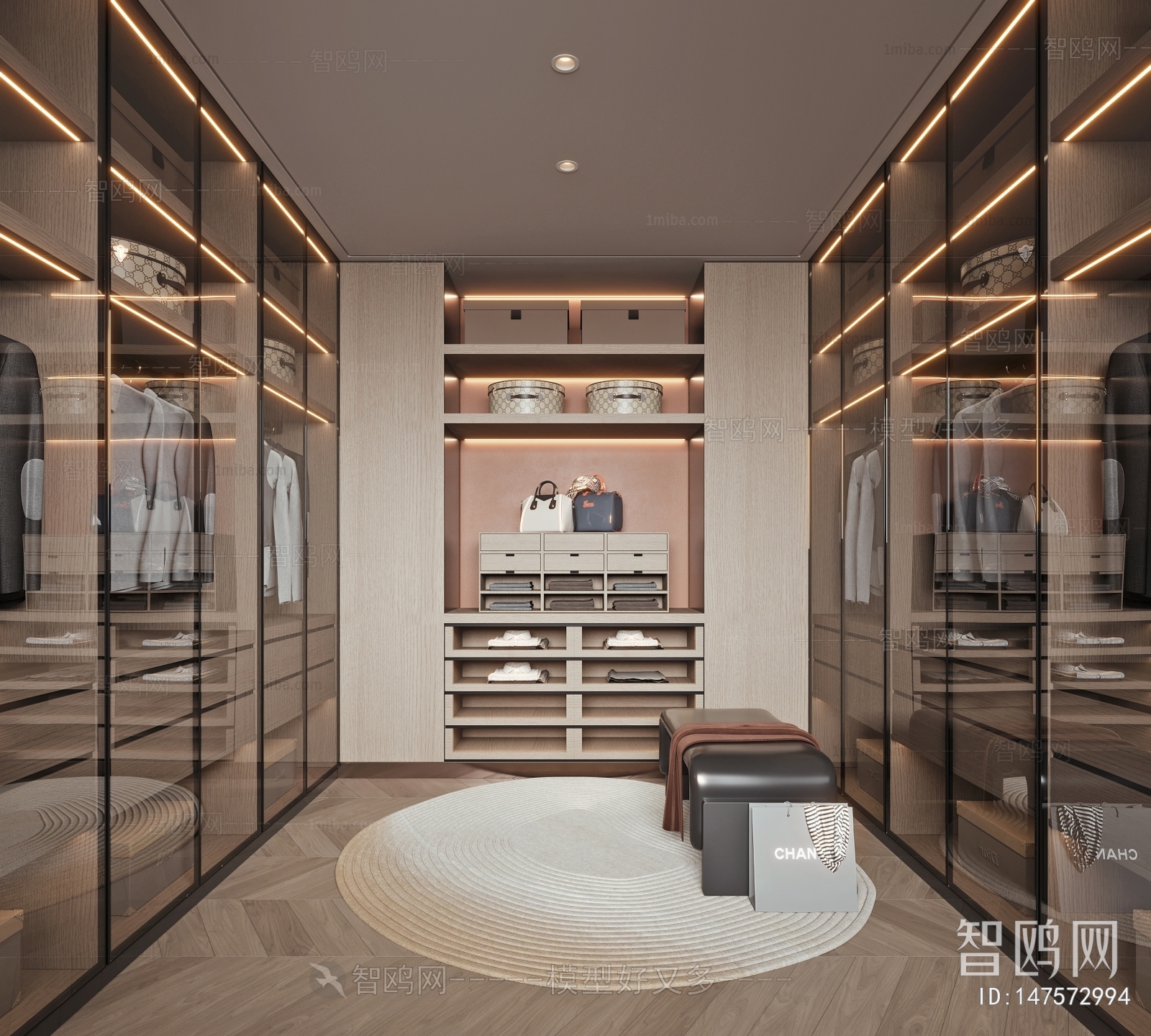 Modern Clothes Storage Area