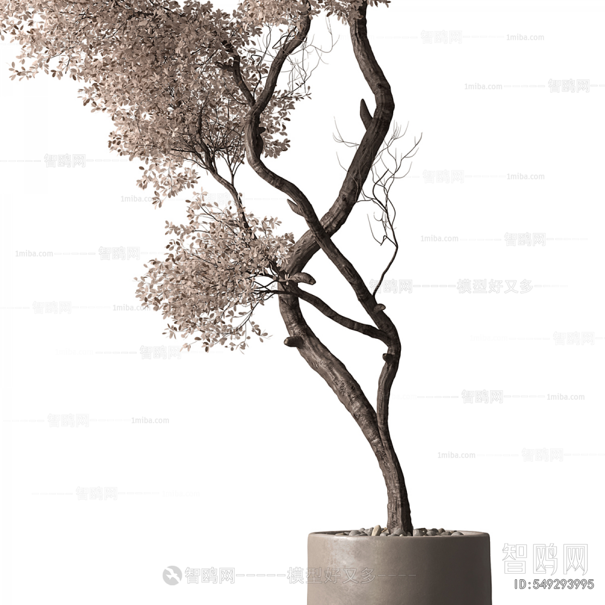 Modern Ground Green Plant Potted Plants