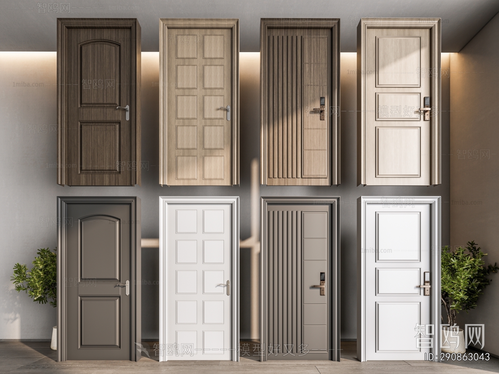 Modern Entrance Door