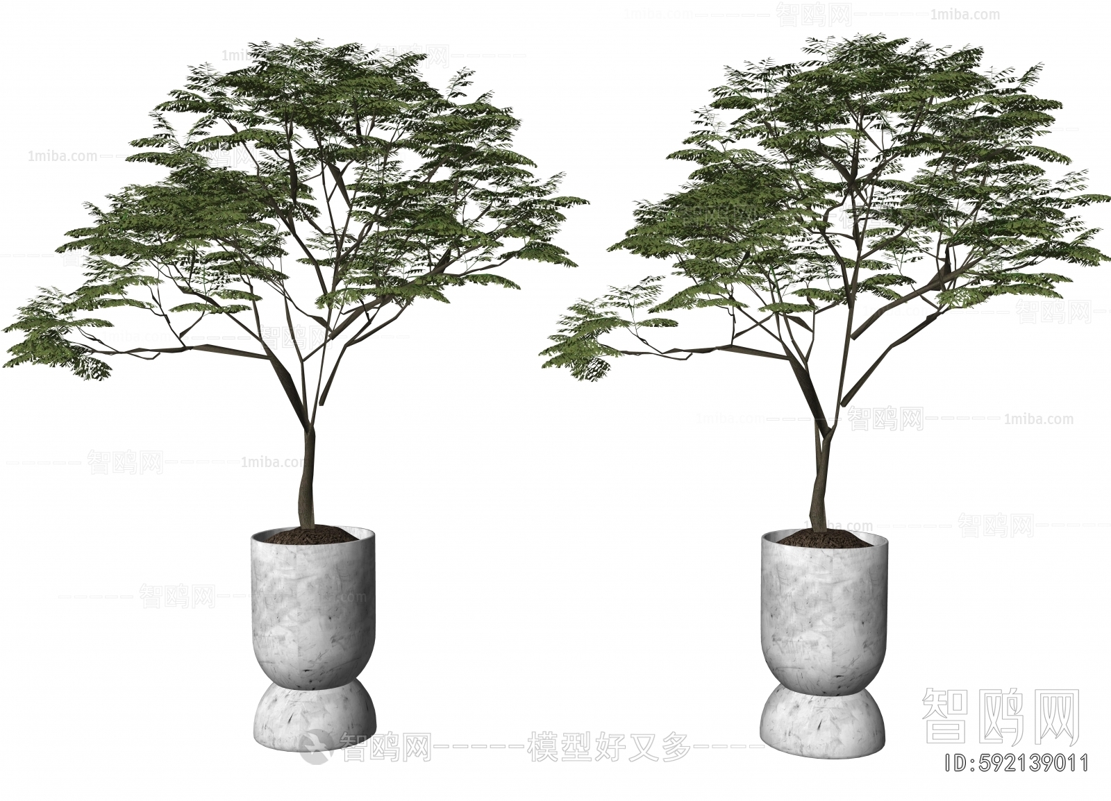 Modern Ground Green Plant Potted Plants