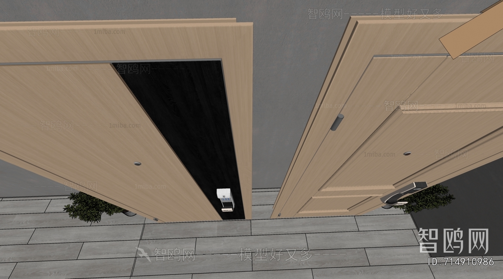 Modern Entrance Door
