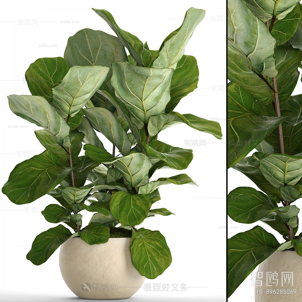 Modern Potted Green Plant