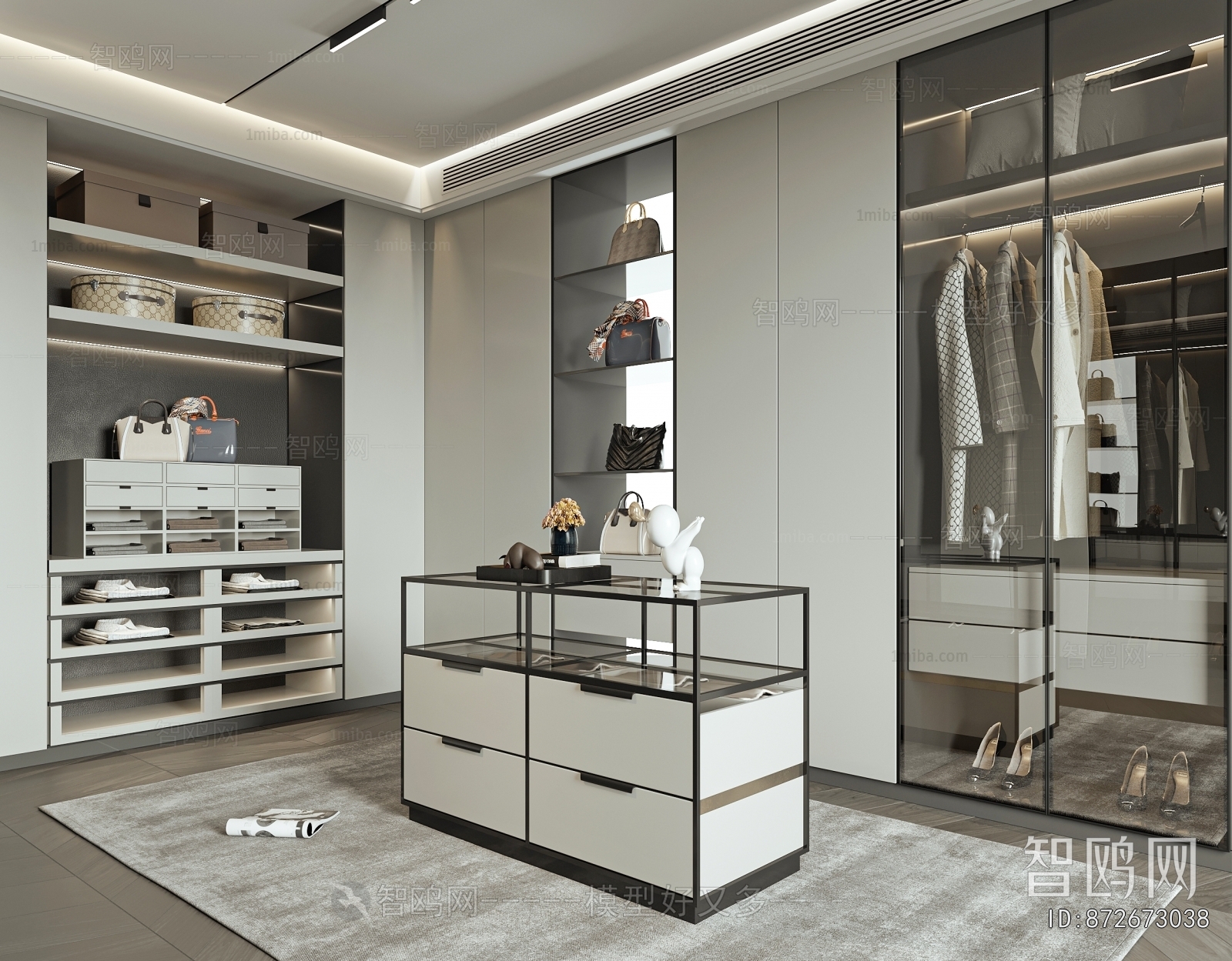 Modern Clothes Storage Area